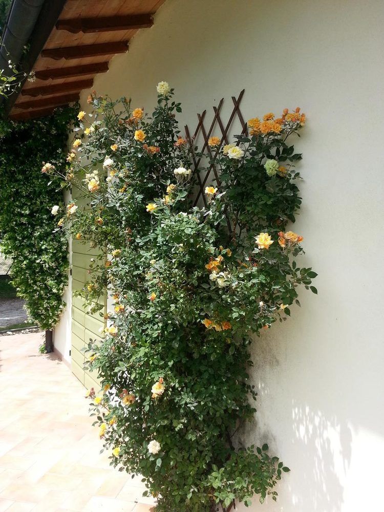 Caterina Residence Faença Exterior foto